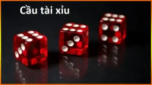 Tong Hop Cac Loai Cau Tai Xiu Hien Nay 6567