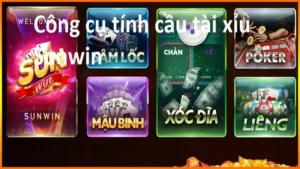 Top 6 Cong Cu Cach Tinh Cau Tai Xiu Chuan Xac Nhat 6575
